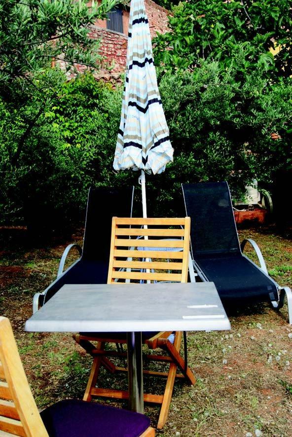 Apartamento La Goutte D'Or Roussillon en Isere Exterior foto